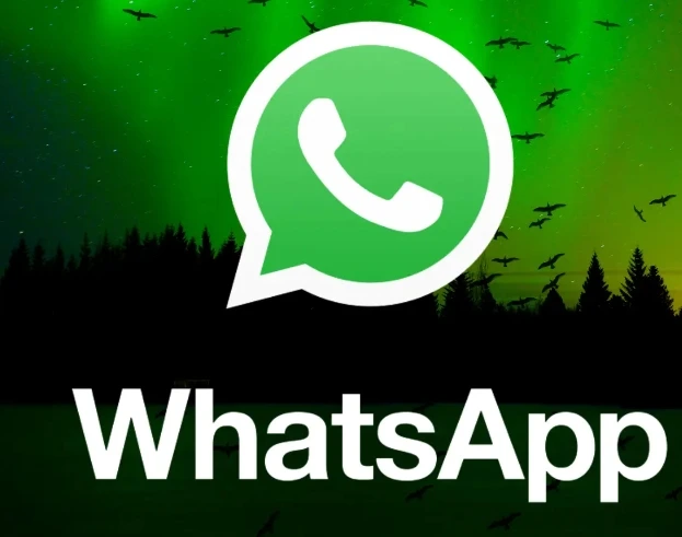 WhatsApp bagli olan cihazlari cikisa atma 1